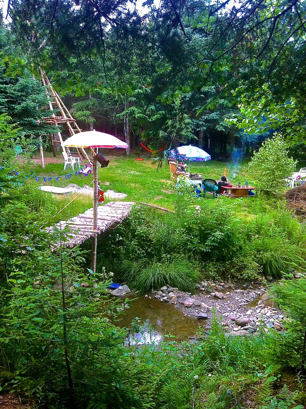 The tipi and the yurt in the clearing, July 2012.