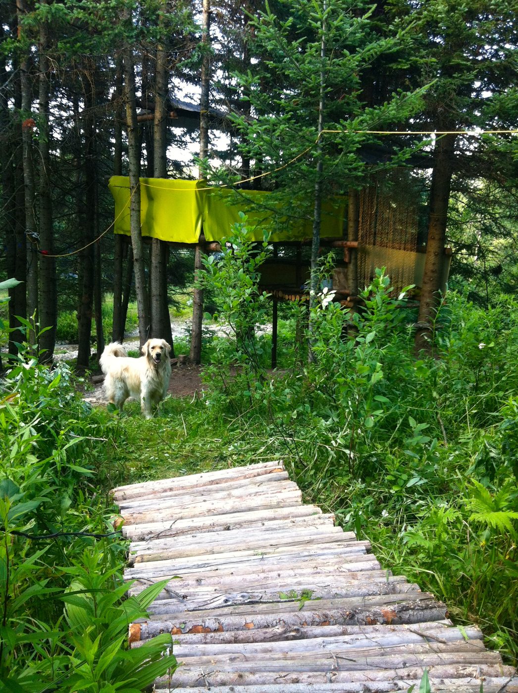 The cabin with the yellow flags, on the trail.
