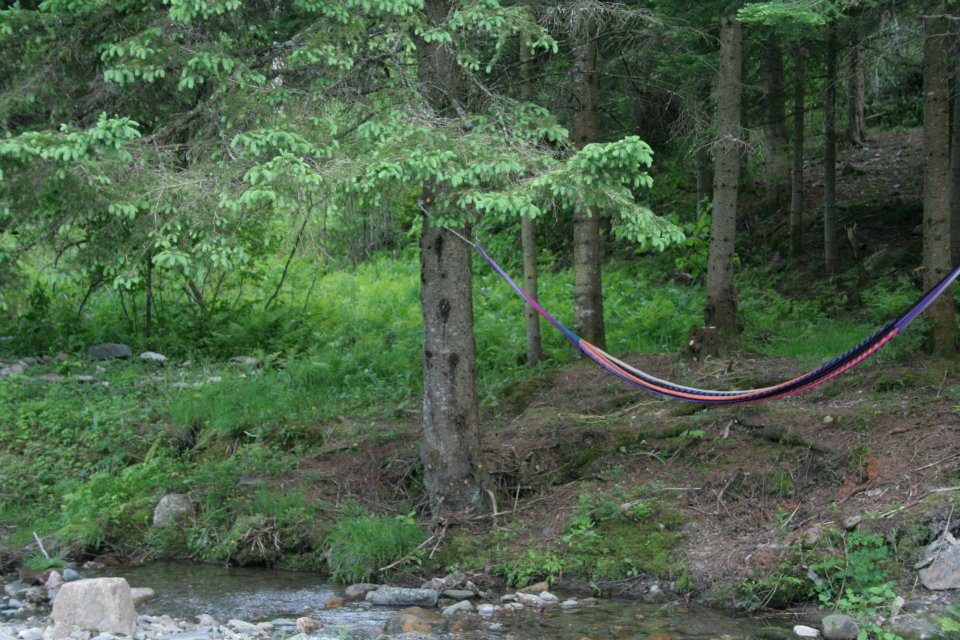 A hammock on the bank, in the shade.