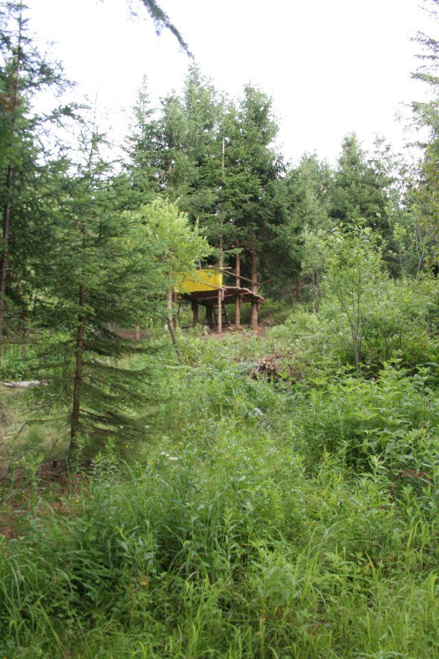 A cabin, deep in the forest.