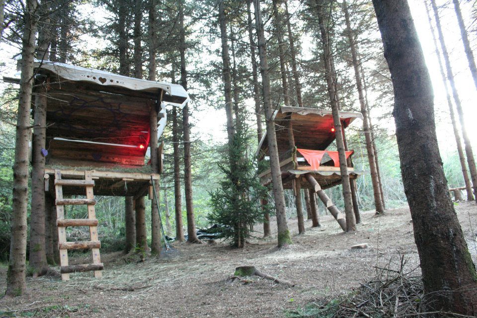 A cabin on stilts, among the spruces.