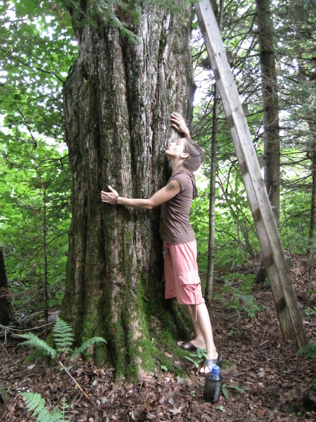 August 5, 2010: hugging a tree.