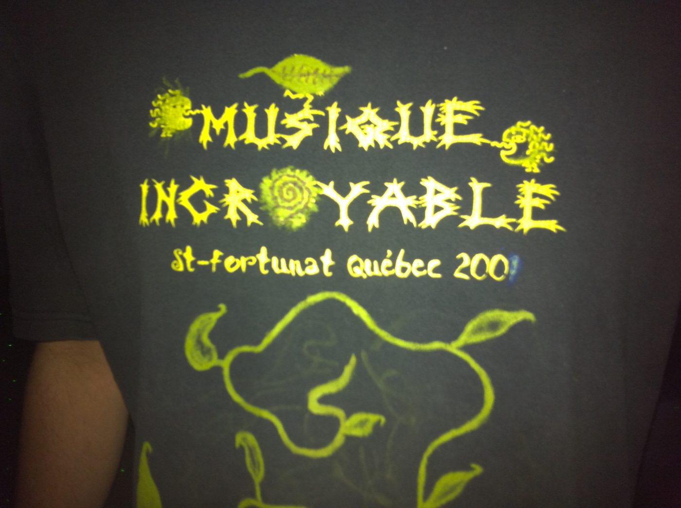 January 1, 2011: "Incredible music, St-Fortunat", projected on the wall.