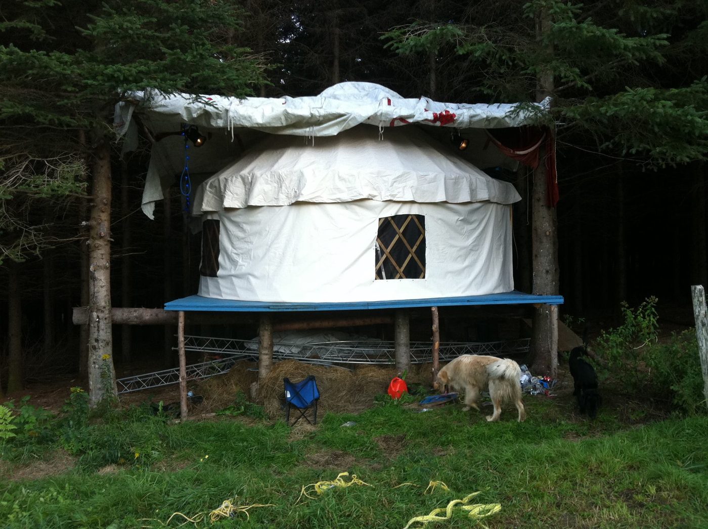 The yurt and its watchdog.