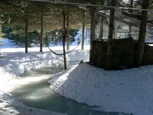 The Cherry Island in winter.