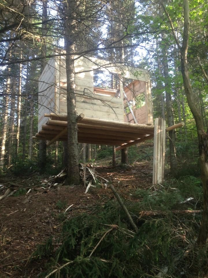 The CubeHouse, on stilts in the forest.