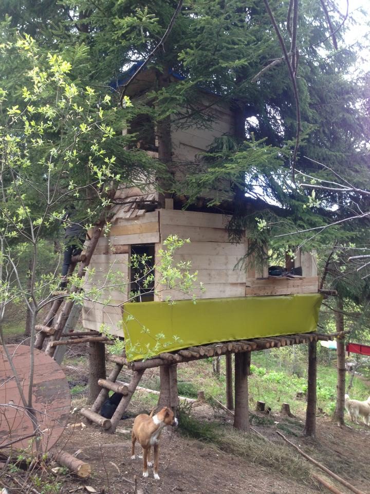 L'Ascension, a treehouse "with a breathtaking view of the tipi, the stream and the Cherry Island", 2013.
