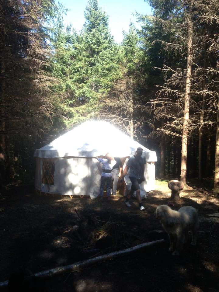 The yurt, at the end of the spruce alley.