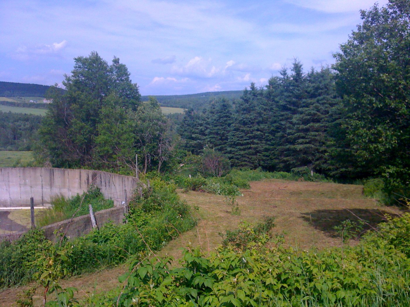 June 27, 2010: the clearing, the first trees recognized.