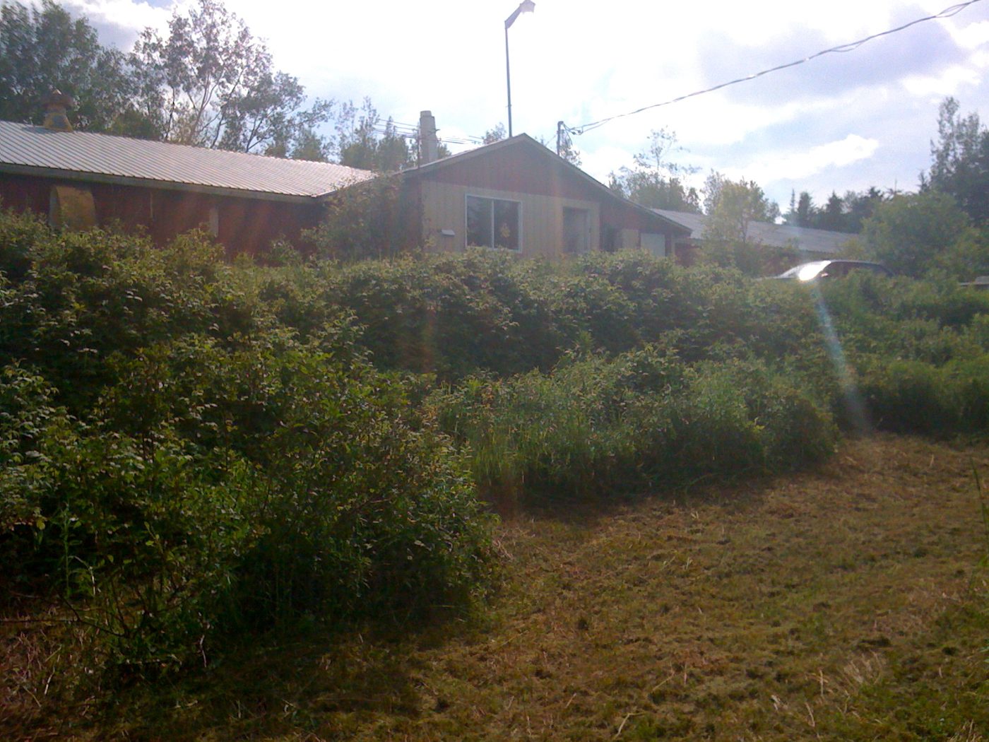 The house, June 2010.
