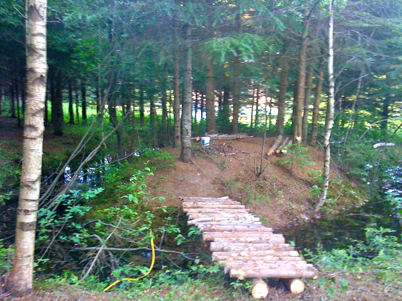 The first little bridge, June 2010.