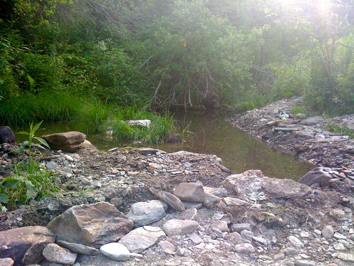 The stream and its stones, June 2010.