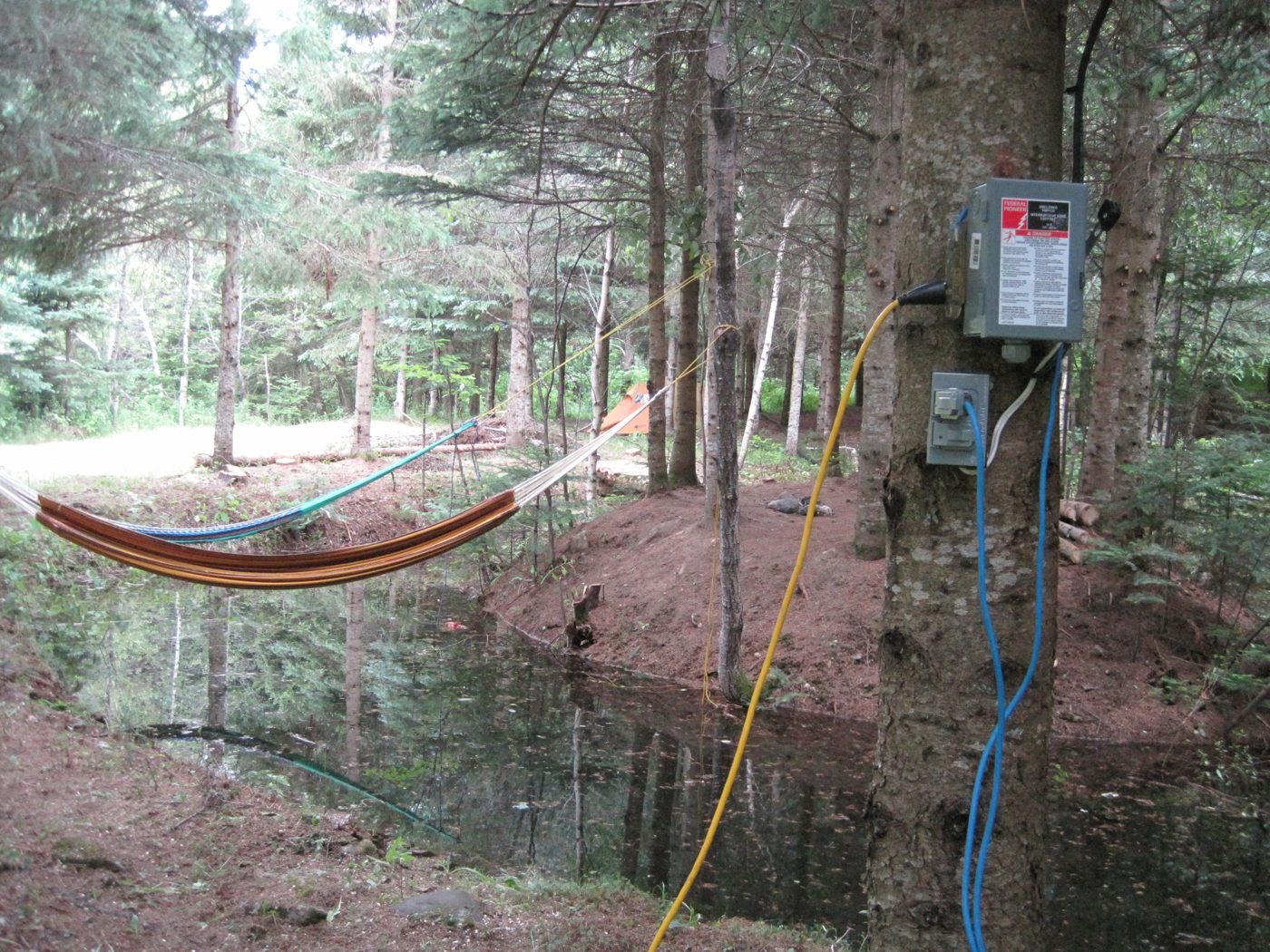 July 4, 2010: the first hammock over the pond, an electrical box on a tree.