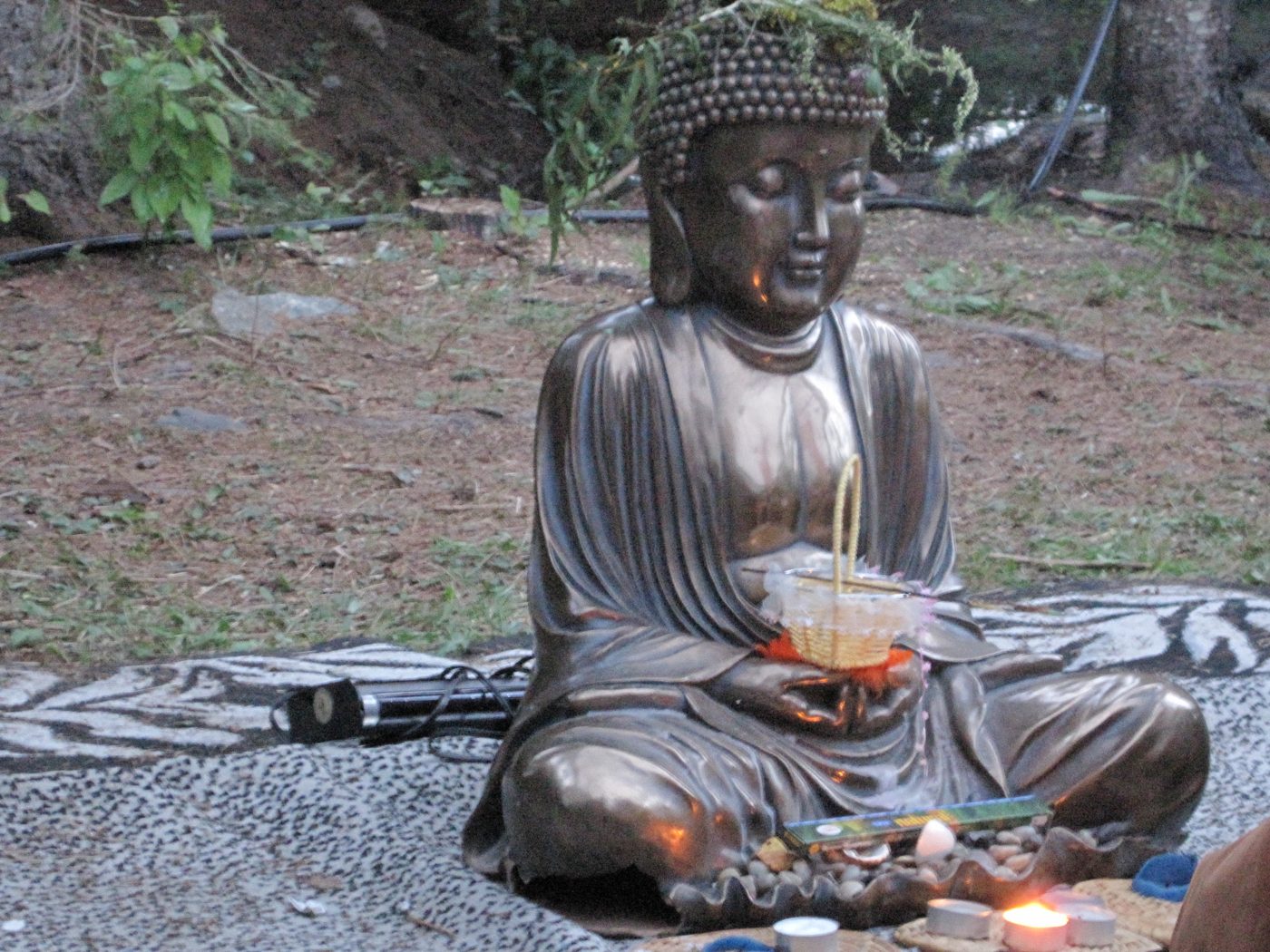 The Buddha, its offerings and its rug, August 2010.