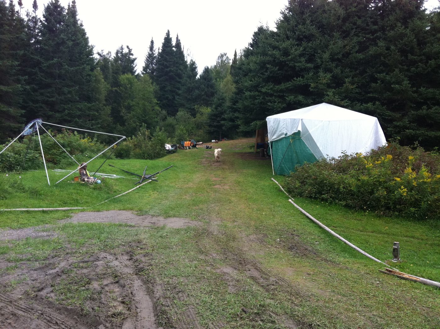 The pole tipis and the white tent.