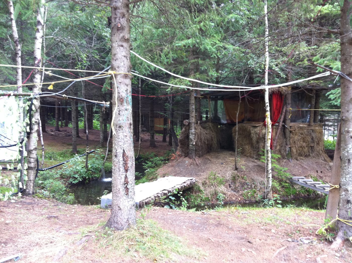 The forest camp: walkways, cabins, hammocks.