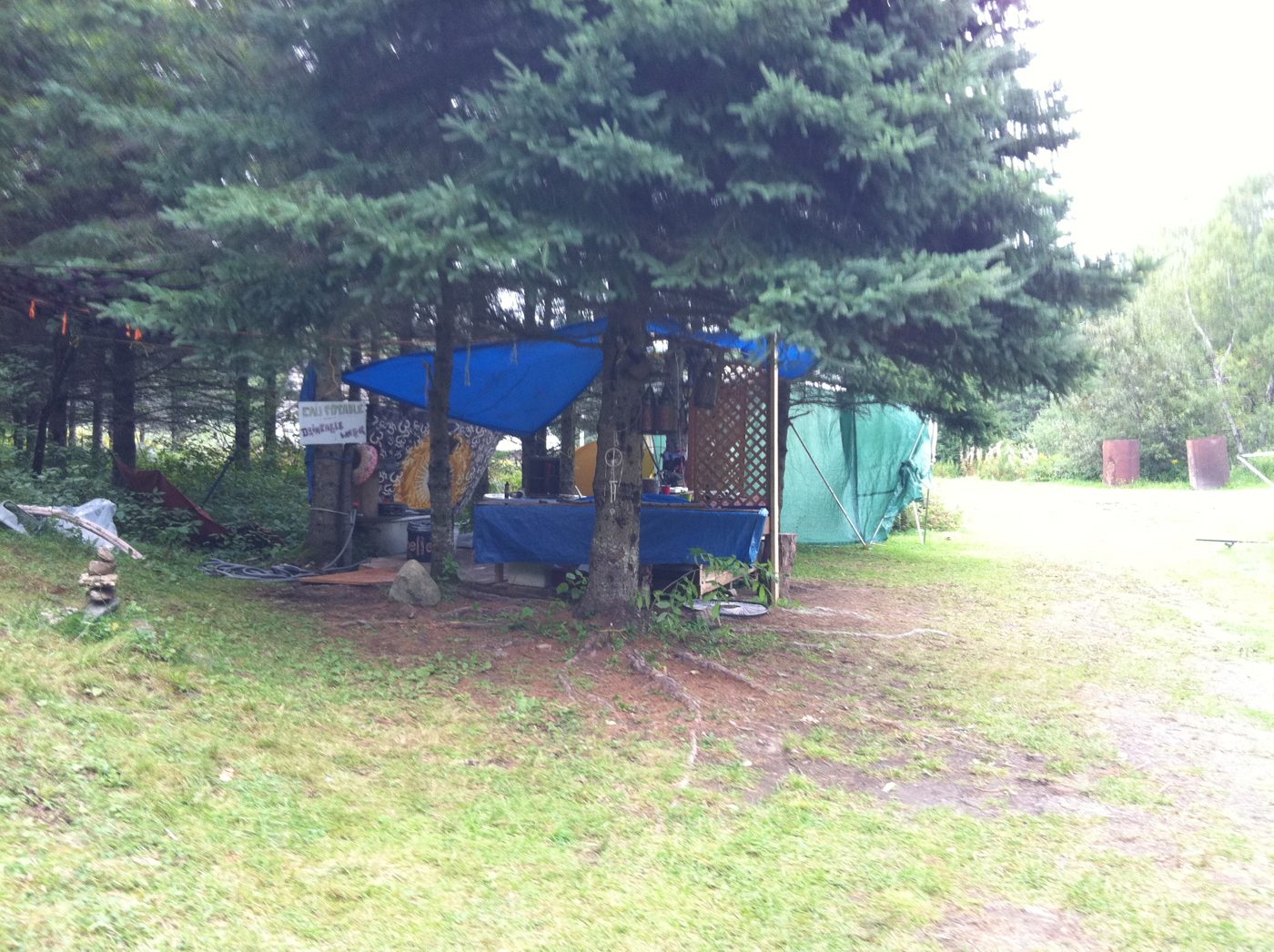 The blue cabin at the edge of the clearing.