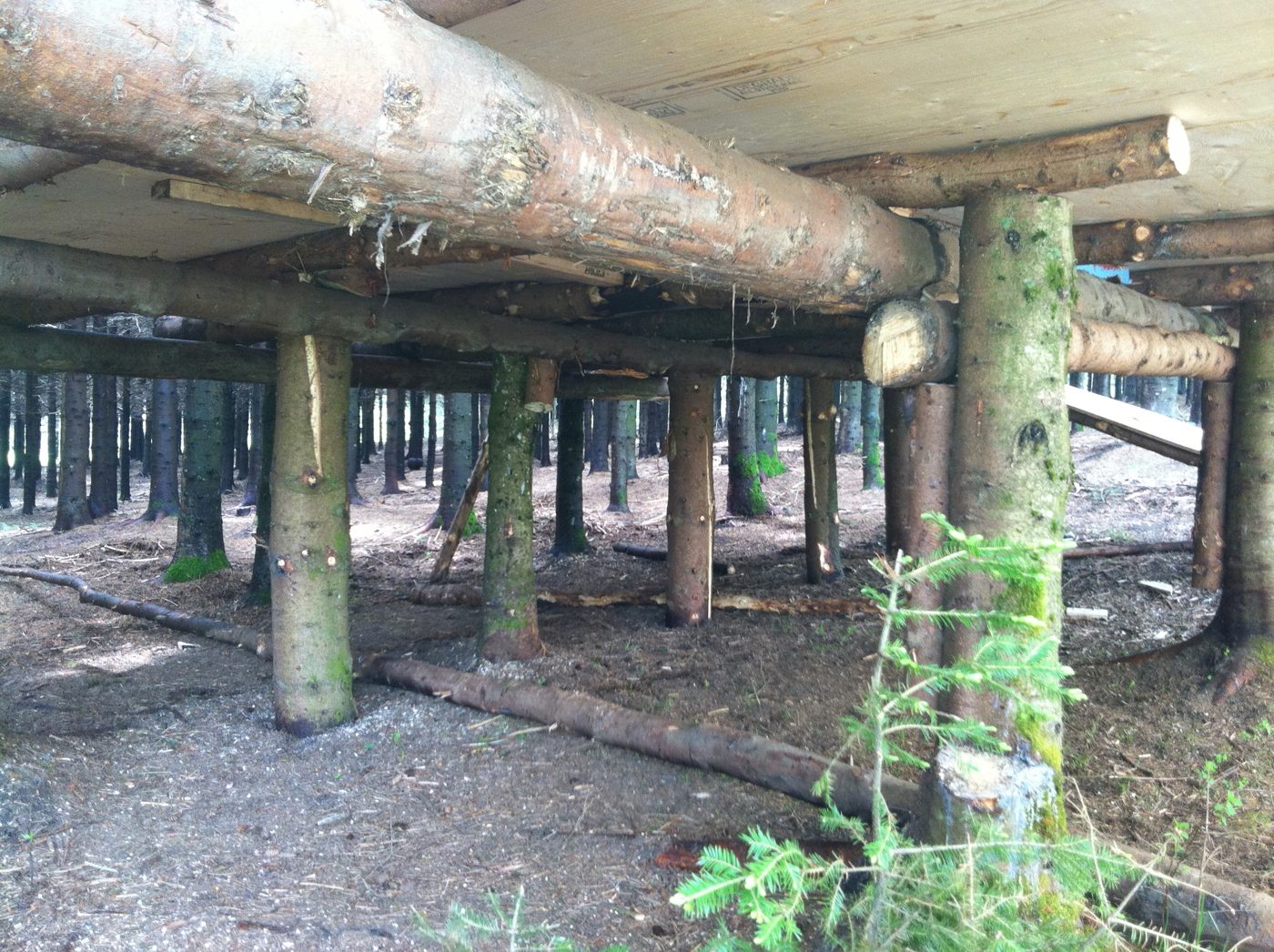 The round-log frame of the covered stage, 2011.