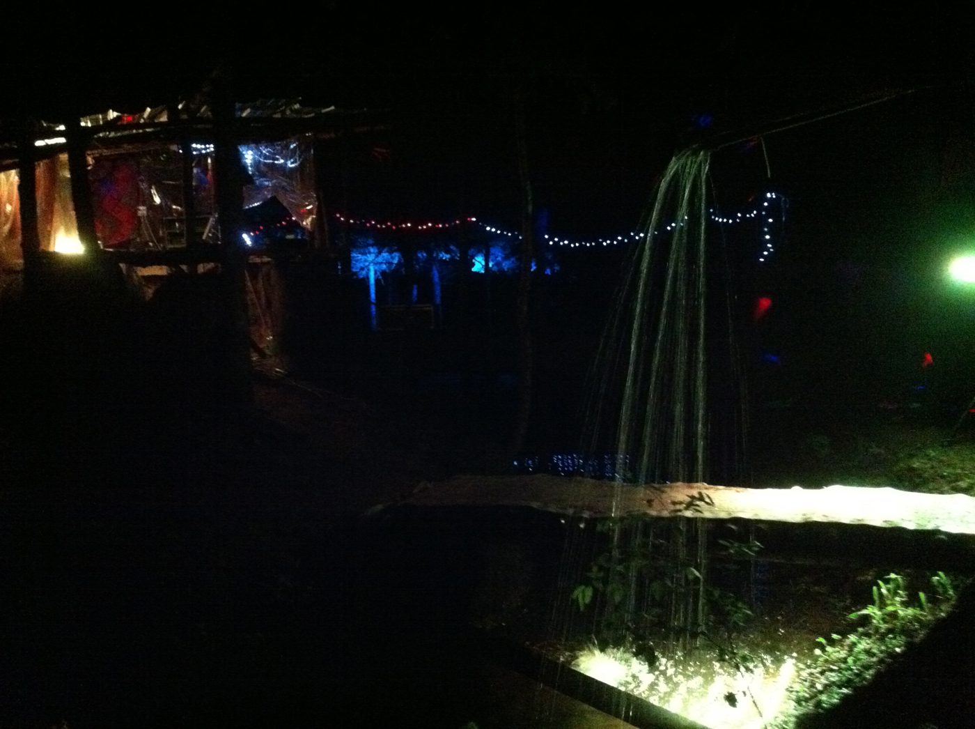 String lights in the forest, at night.