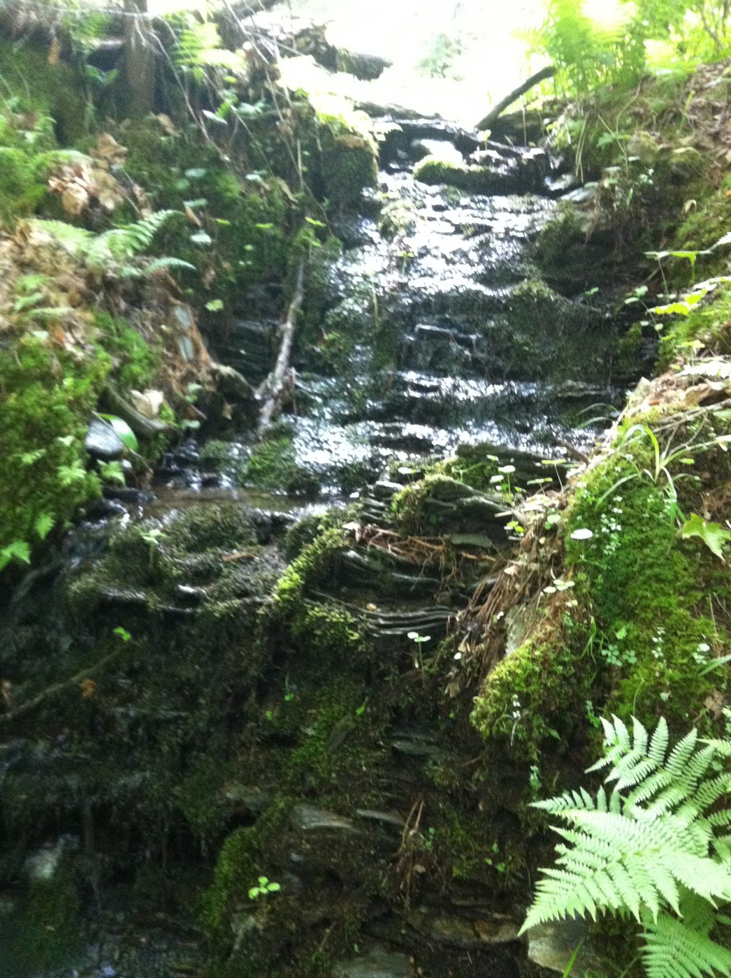 The stream's waterfall.