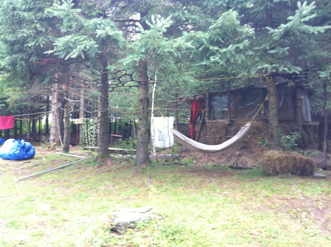 The cabin and its hammock, under the spruces.