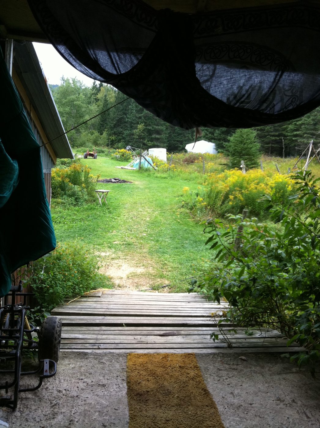 The yellow plank path to the clearing.