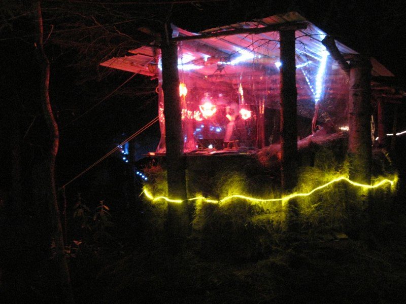 String lights between the spruces, tents on the ground.