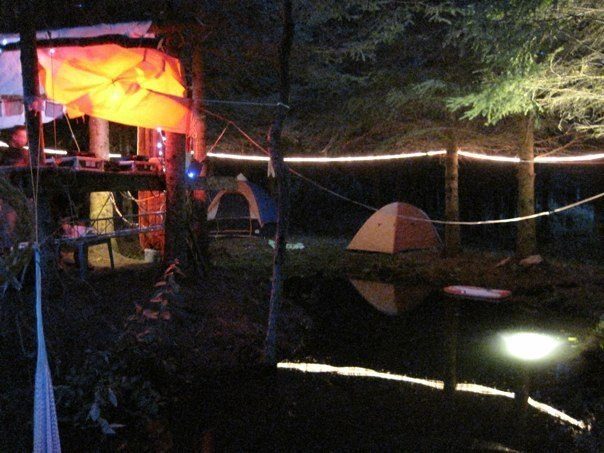 The lights reflected in the pond.