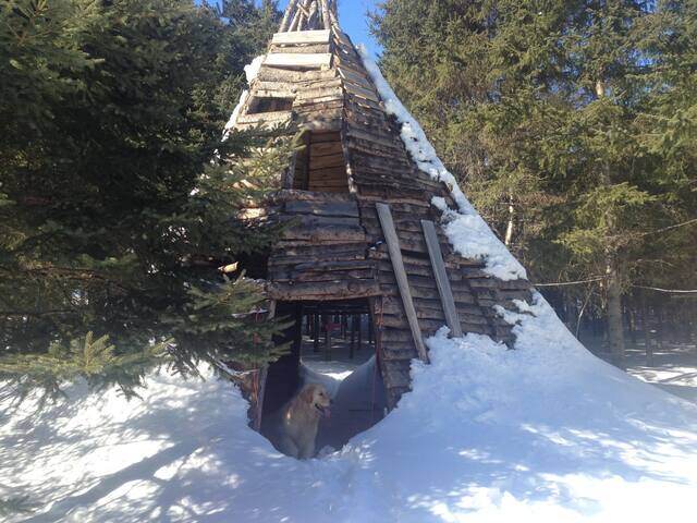 Winter and spring 2014, March 8, 2014