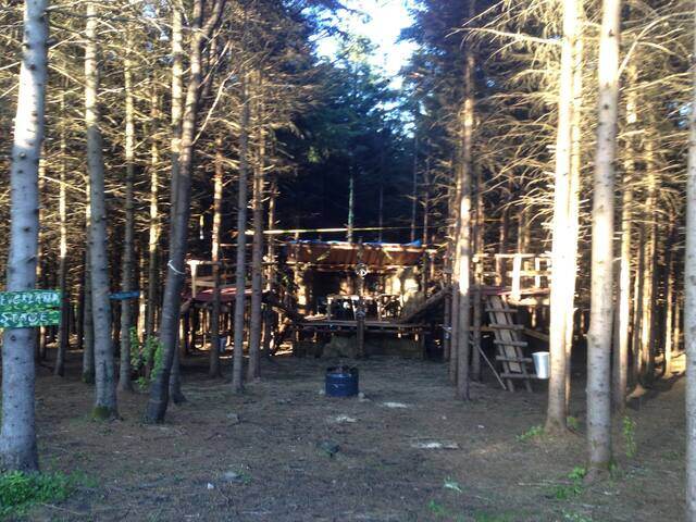 Winter and spring 2014, May 28, 2014