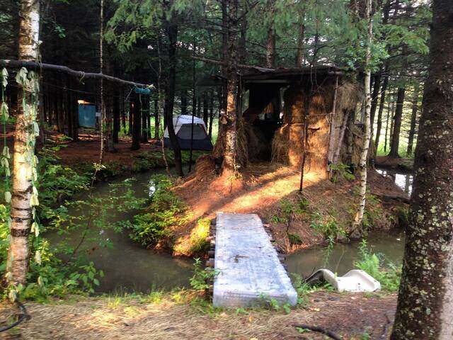 Summer 2014: the last season, July 31, 2014